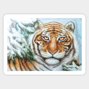 Snow Tiger with Pine Branches Posterized Sticker